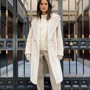 Aritzia Babaton Teddy Coat